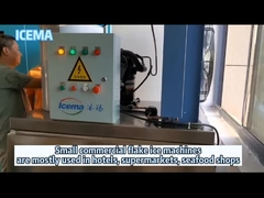 Εμπορικές του γλυκού νερού νιφάδων εγκαταστάσεις πάγου νιφάδων κατασκευαστών πάγου νιφάδων ψυκτικών μηχανών μικρές για τη χρήση ξενοδοχείων