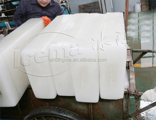 Μηχανή μορφοποίησης παγομπλόκ ψυγείου 5T Brind Machine Shape