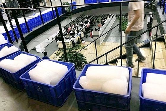 600 KG Προσαρμοσμένη βιομηχανική μηχανή κατασκευής πάγου για την εξόρυξη ενέργειας