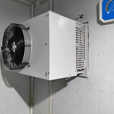 Καλή τιμή Βιομηχανική μονάδα συμπύκνωσης εξατμιστή ψυκτικού καταψύκτη σε απευθείας σύνδεση